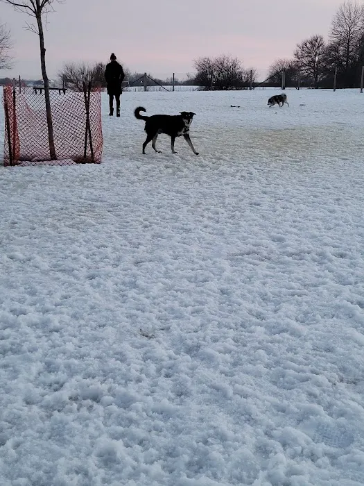 James O. Breen Community Dog Park 2
