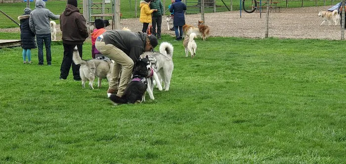 James O. Breen Community Dog Park 10