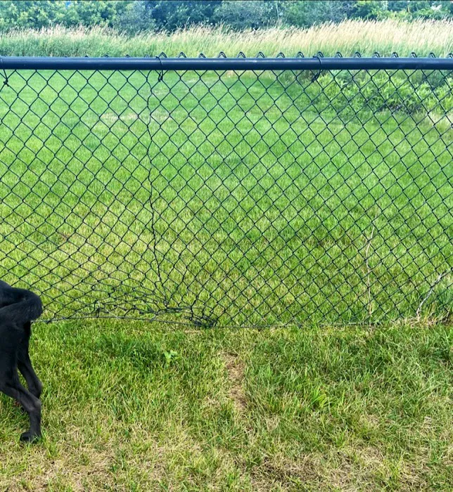 Dog Park at Love's Travel Stops 4