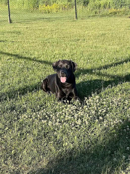 Dog Park at Love's Travel Stops 7