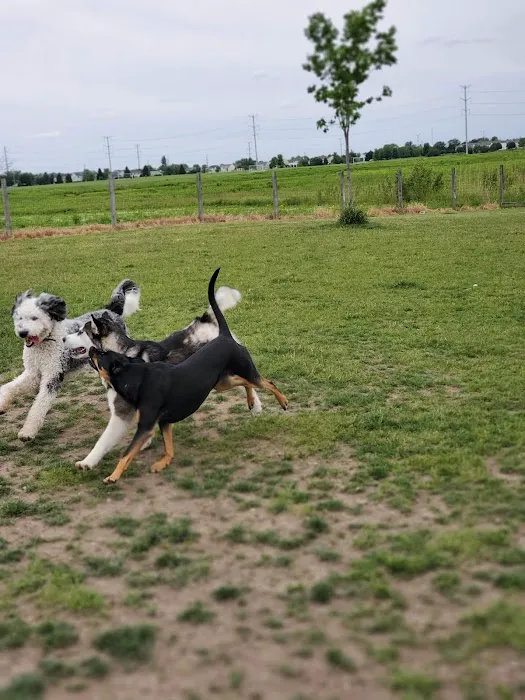Stuart Sports Complex Dog Park 9