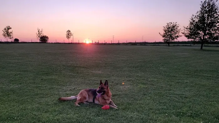Stuart Sports Complex Dog Park 7