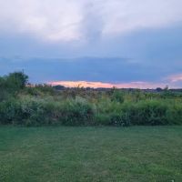 Stuart Sports Complex Dog Park ico