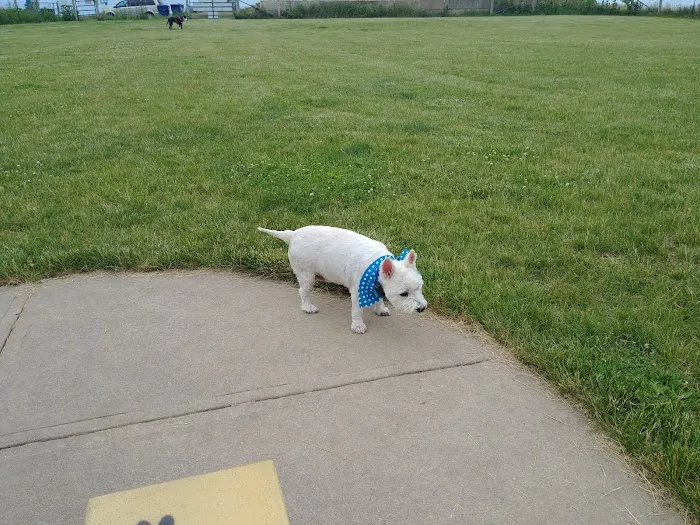 Woof Run Dog Park 1