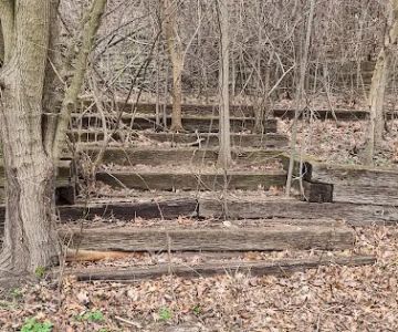 White River Dog Park