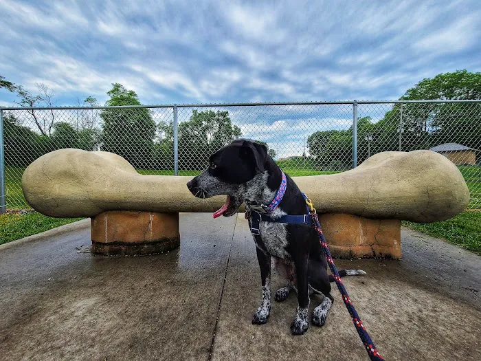White River Dog Park 10