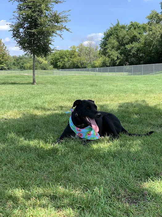 White River Dog Park 5