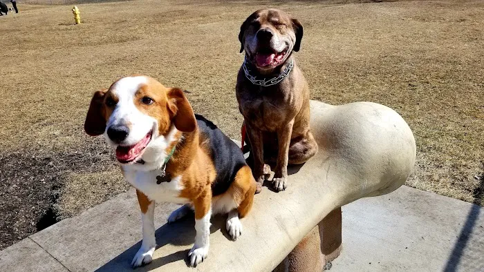 White River Dog Park 8