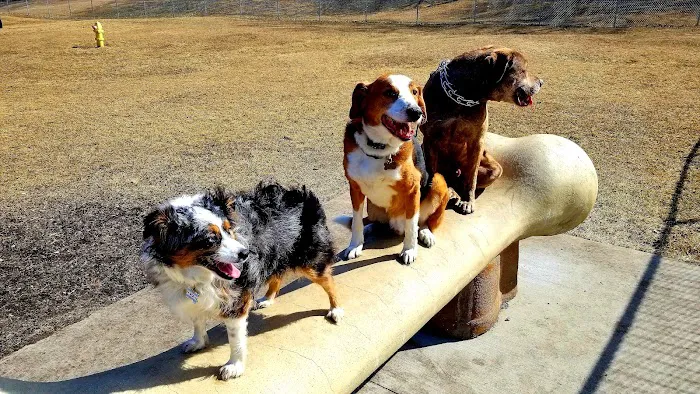 White River Dog Park 4