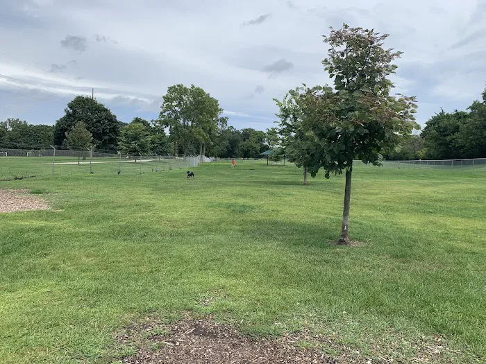 White River Dog Park 9
