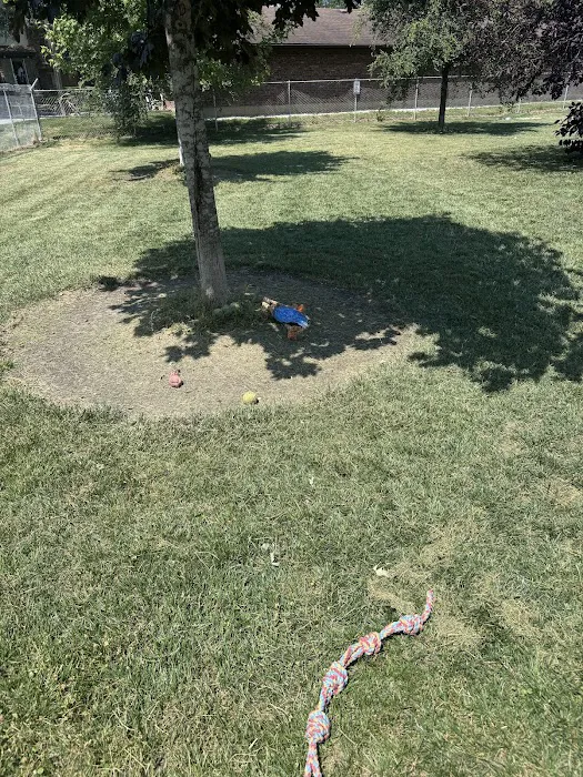 Nancy Benedetto Dog Park 3
