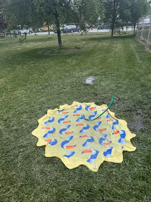 Nancy Benedetto Dog Park 4