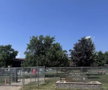 Nancy Benedetto Dog Park