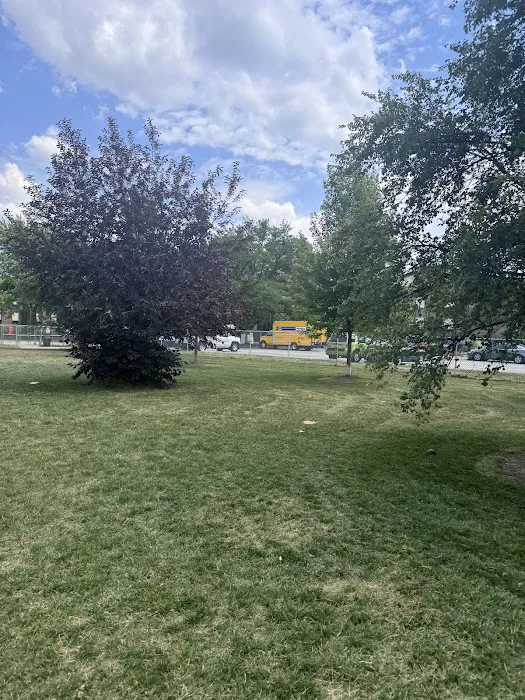 Nancy Benedetto Dog Park 5