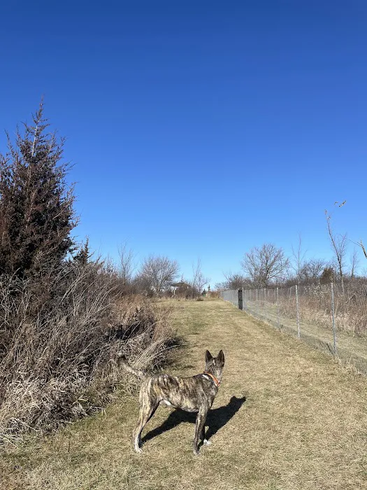 Bremen Grove Dog Park (membership required) 3