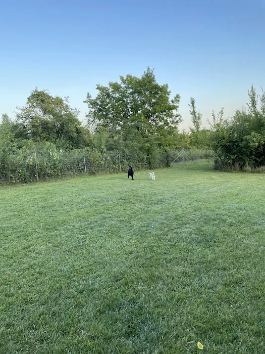 Bremen Grove Dog Park (membership required) 4