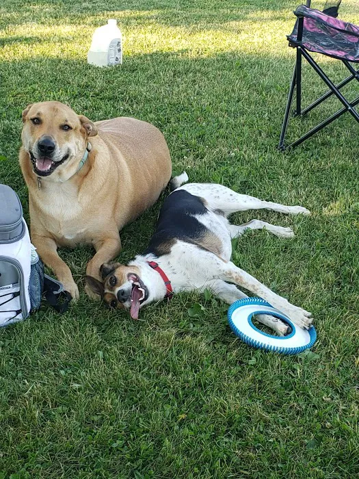 Bremen Grove Dog Park (membership required) 8