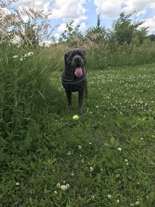 Bremen Grove Dog Park (membership required) 6