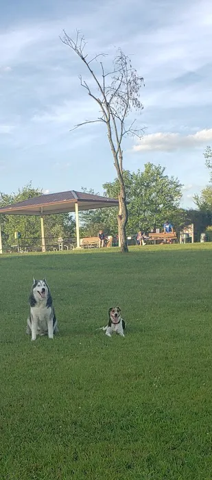 Bremen Grove Dog Park (membership required) 1