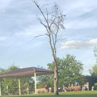 Bremen Grove Dog Park (membership required) ico