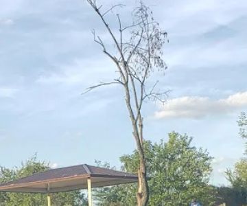 Bremen Grove Dog Park (membership required)