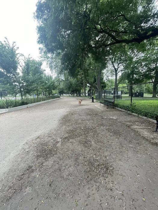 Calumet Bark 6