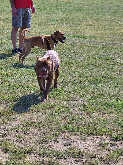 Trantina Farms Dog Park 8