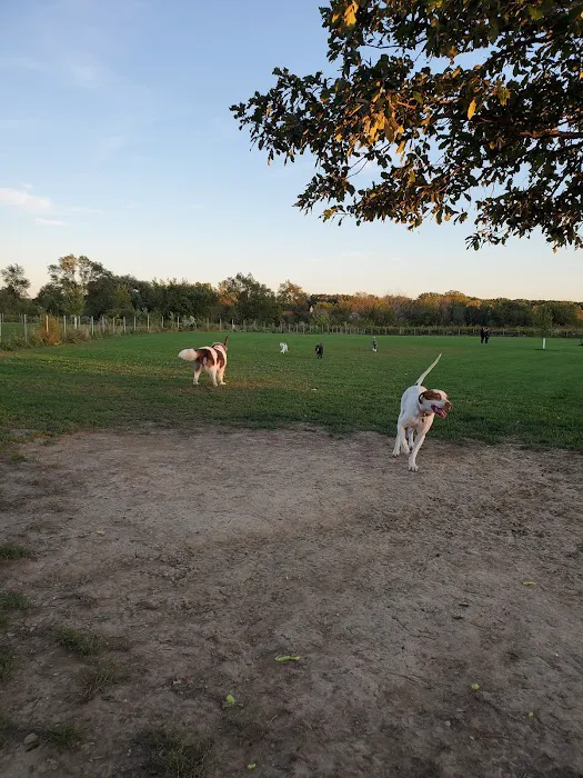 Trantina Farms Dog Park 4