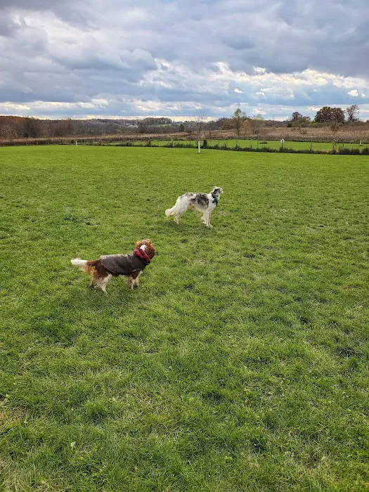 Trantina Farms Dog Park 5