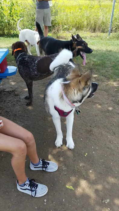 Trantina Farms Dog Park 3