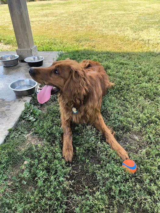 Trantina Farms Dog Park 2