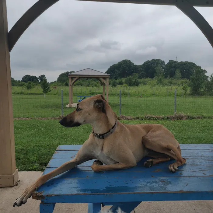 Trantina Farms Dog Park 9