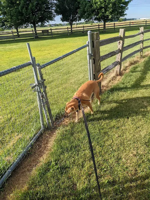 Daisy Dog Park 7