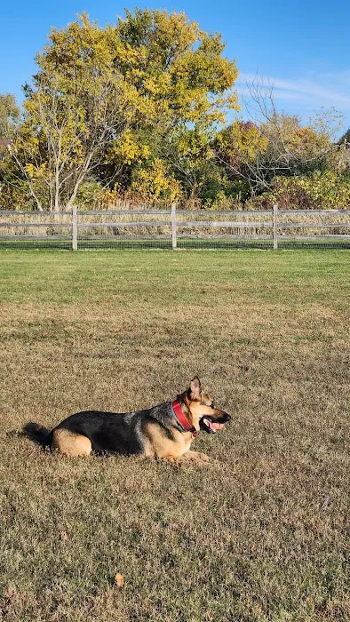 Daisy Dog Park 2
