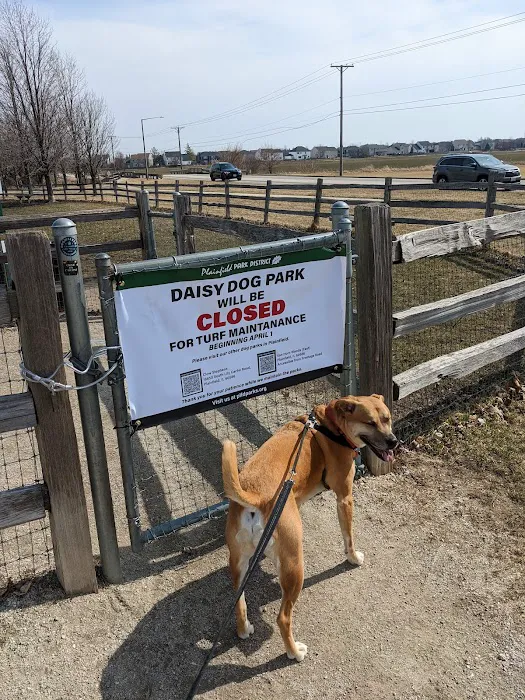 Daisy Dog Park 4