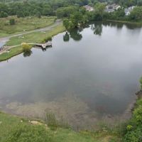 Van Horn Woods East Dog Park ico