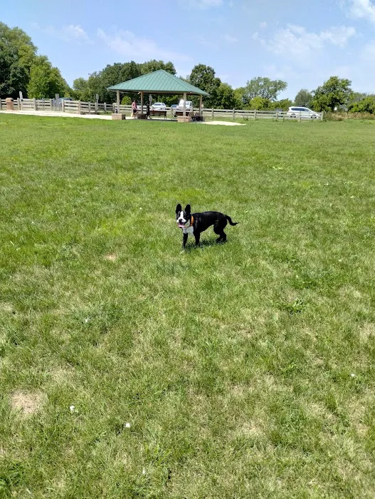 Hammel Woods Dog Park 6