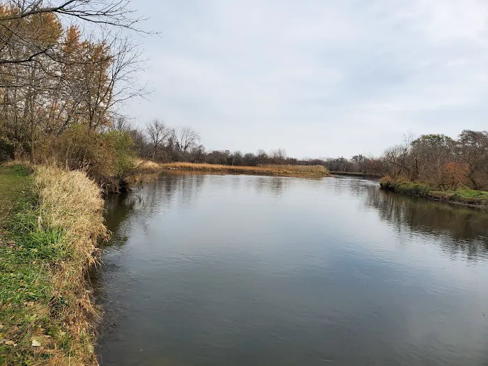Hammel Woods Dog Park 5