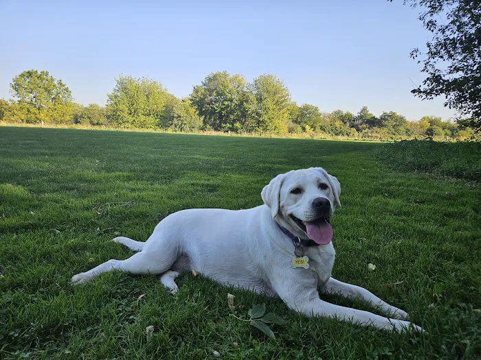 Hammel Woods Dog Park 2