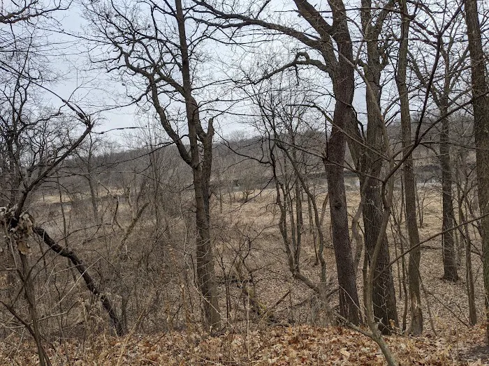 Hammel Woods Dog Park 10