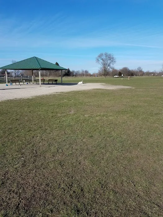 Hammel Woods Dog Park 9