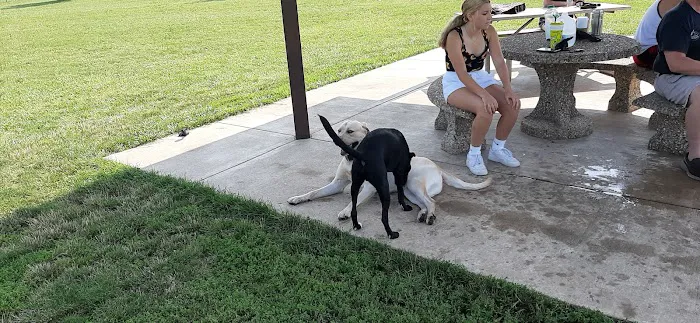Jean Jacobson Dog Park 6