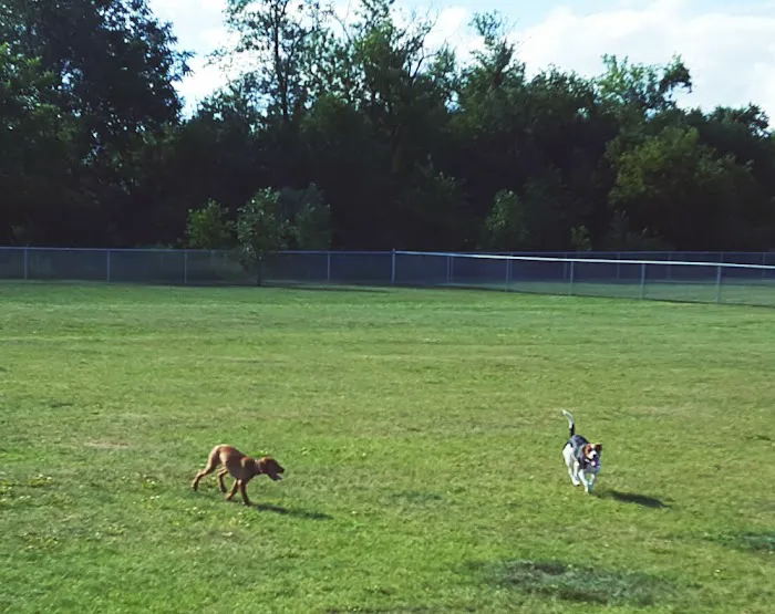 Jean Jacobson Dog Park 7