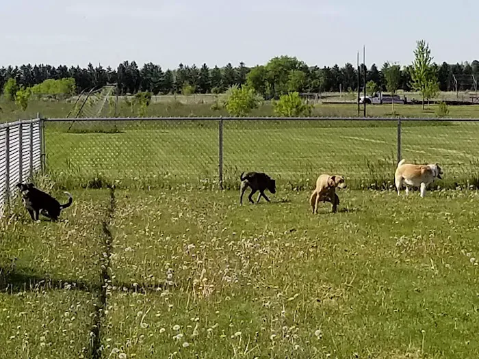 Jean Jacobson Dog Park 4