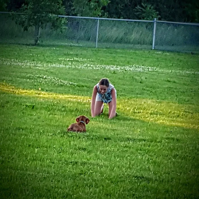 Jean Jacobson Dog Park 8