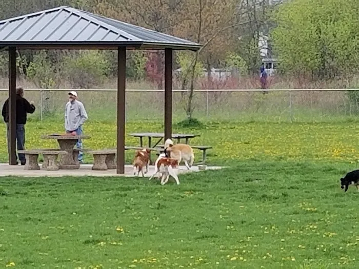 Jean Jacobson Dog Park 2