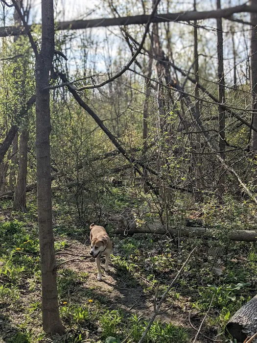 Warnimont Dog Park 9