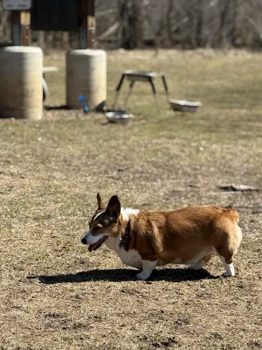 Warnimont Dog Park 4