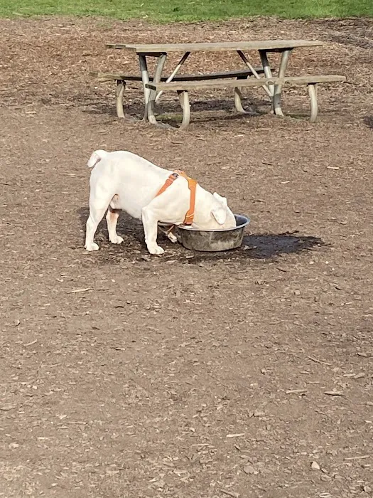 Warnimont Dog Park 7