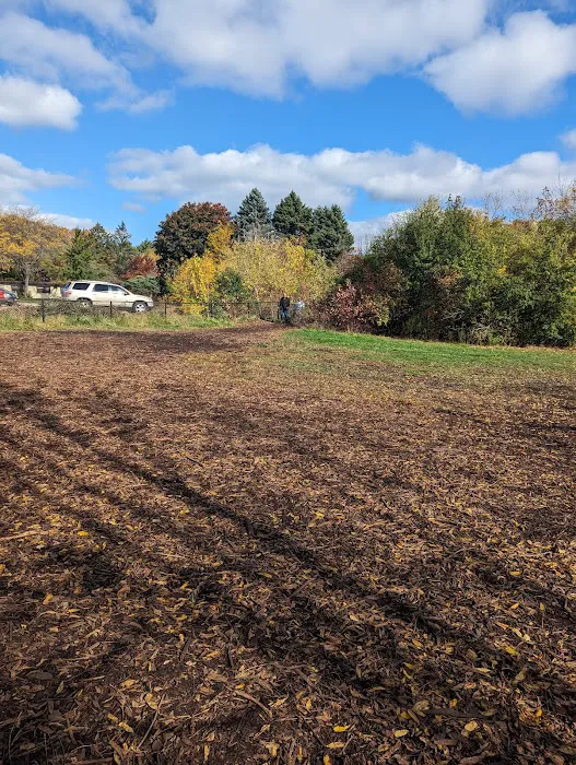Warnimont Dog Park 5